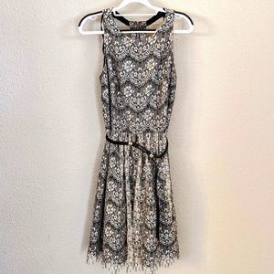 Eliza J Black and Ivory Lace Mini Dress Belt not included